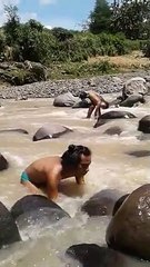 Quand le crabe joue avec kiki :) :) :)