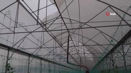 Fırtına Plastik Seralara Zarar Verdi, Ağaçları Devirdi