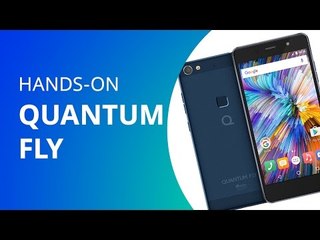 Quantum Fly [Hands-on]