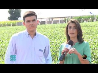 Lente Aberta: Master Agro na Belasafra (2 de 3)
