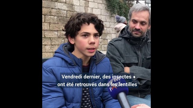 Des collégiens dégoûtés par la cantine après avoir retrouvé des insectes dans leur plat de lentilles