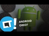 Android Oreo confirmado? [Plantão CT]