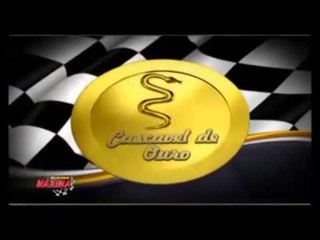 Velocidade Máxima: 29º Ed. Cascavel de Ouro (1 de 4)