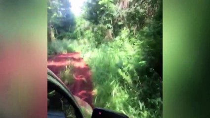 Guardas da Força Rural passam por treinamento de direção