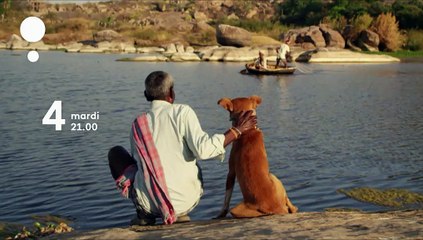 Le plus bel ami de l'homme - Bande annonce