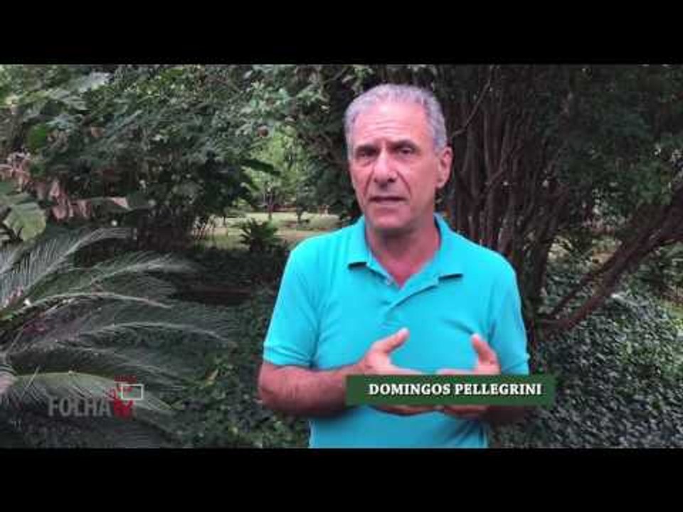 Folha Tv: Domingos Pellegrini