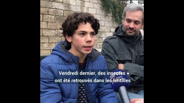 Des collégiens dégoûtés par la cantine après avoir retrouvé des insectes dans leur plat de lentilles