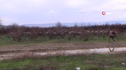 Bidon İçerisinde Bebek Cesedi Bulan Çobanlar O Anları Anlattı