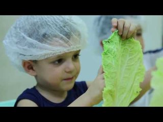 Colégio Universitário: receita de Charuto de Acelga