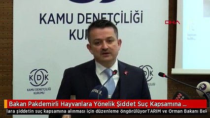 Bakan Pakdemirli Hayvanlara Yönelik Şiddet Suç Kapsamına Alınacak-2