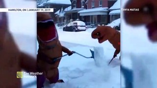 T-REX snow patrol is here to shovel your driveway