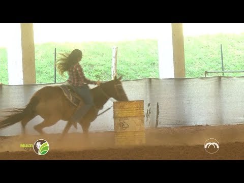 Multi Agro: Provas Equestres
