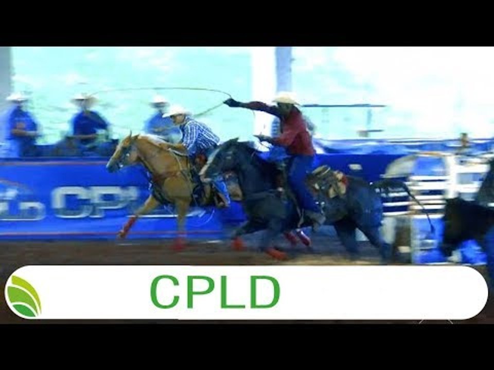Multi Agro: CPLD