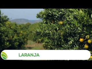 Multi Agro: Laranja