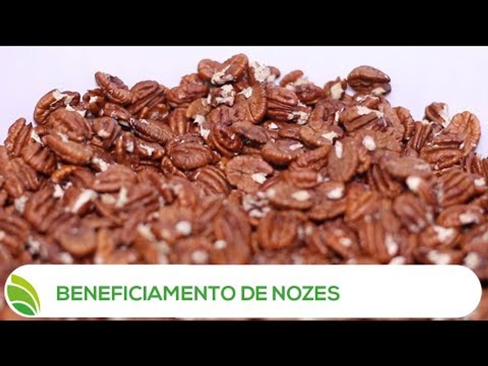 Multi Agro: Beneficiamento de Nozes