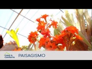 Casa & Conforto: Dicas de Paisagismo
