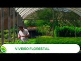 Multi Agro: Viveiro Florestal