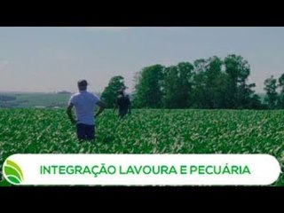 Multi Agro: Integração Lavoura e Pecuária