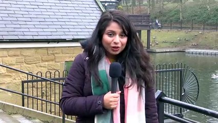 GOODLINES: 25th January 2019