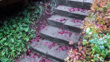 Home Inspector In Seattle, WA Says Always Safety First