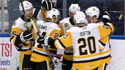 Bridgeport Sound Tigers vs. Wilkes-Barre/Scranton Penguins - January 23, 2019