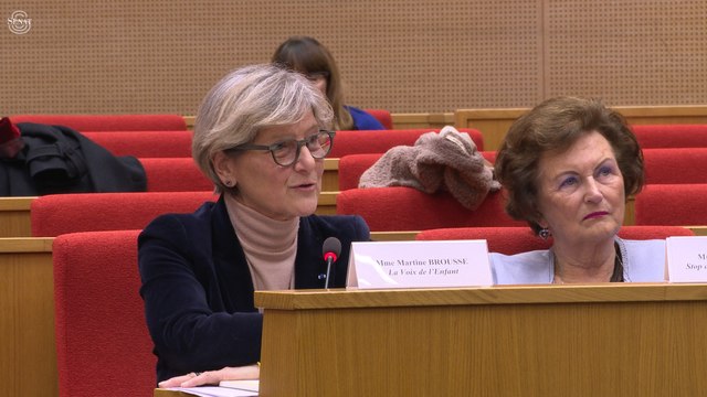 [Pédocriminalité] Bilan d’étape de la MCI « Infractions sexuelles commises sur mineurs »