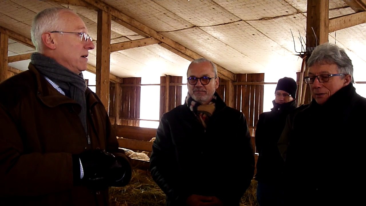 Pour le préfet des Vosges, le loup de la plaine pose problème