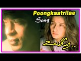 AR Rahman Hits | Poongkaatrile song | Uyire Movie Scenes | Shah Rukh Khan thinks of Manisha | Preity