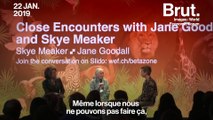 Le discours de Jane Goodall à Davos