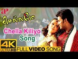 Chellame Tamil Movie Songs | Chella Kiliyo Video Song 4K | Vishal | Reema Sen | Bharat