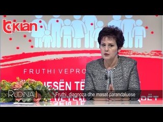 Rudina - Sa e rrezikuar eshte Shqiperia nga fruthi?! (24 janar 2019)