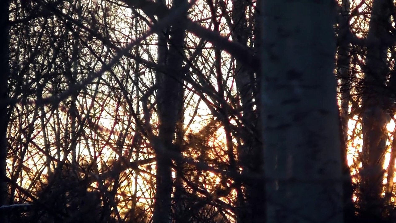 Jan 14 2019 DL6