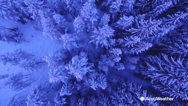 What is the AccuWeather RealFeel® Temperature?