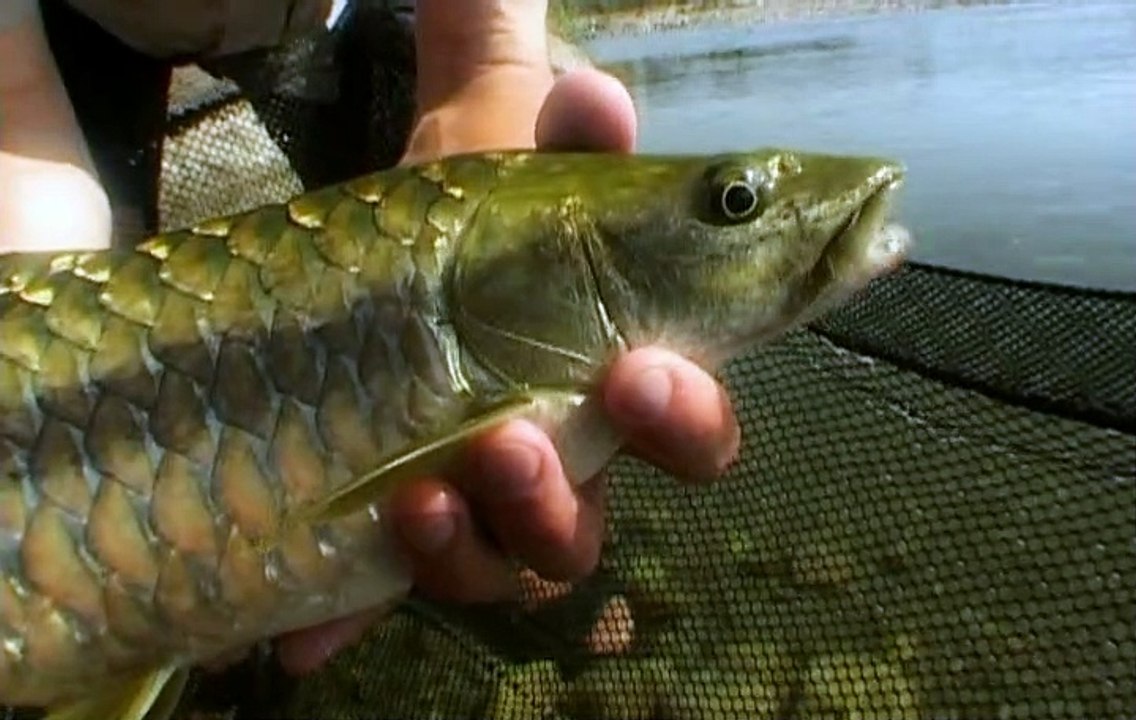 Jungle Hooks With Jeremy Wade S01E01 Mountain Monsters