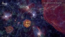 Stunning Simulation Shows Black Holes Form in Halos of Dark Matter