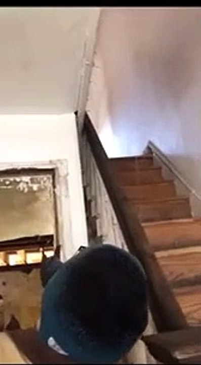 Piège mortel dans une maison-laboratoire de meth