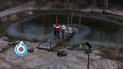 "Dit gaat echt niet goed"