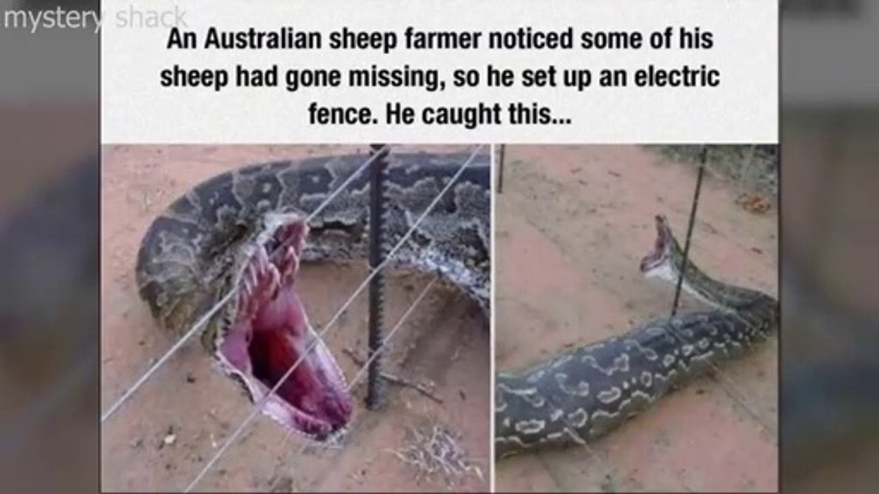 NOPE Level- Australia