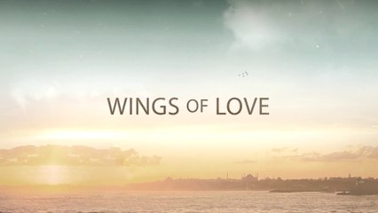 Alas de amor Serie Turca