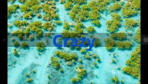Crazy (January 2008 - March 2008)
