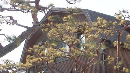 [취재N팩트] 표준주택 공시가격 역대 최대 인상...시장 영향은? / YTN