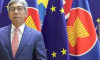 Indonesia Perjuangkan Isu Sawit Pada Pertemuan ASEAN-Uni Eropa
