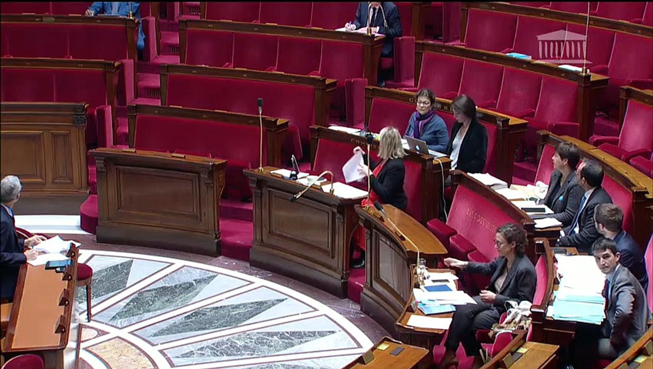 1ère séance : Accords internationaux (procédure d'examen simplifiée) ; Création Office Français Biodiversité (suite) - Jeudi 24 janvier 2019