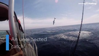 Airborne: Shark Desperately Tries To Unhook Itself