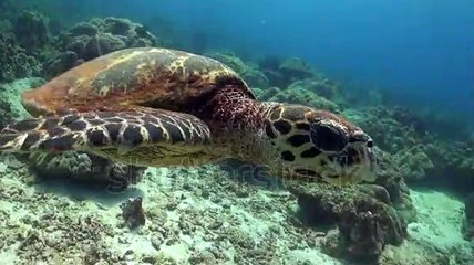 온라인슬롯게임바로가기 ▶  yong79。com 탑카지노 おふ현대기아차가