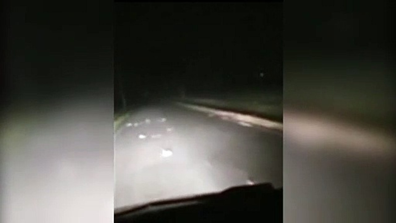 Ratteninvasion in italienischer stadt