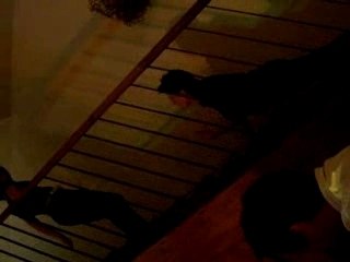 réveillon 2007/2008