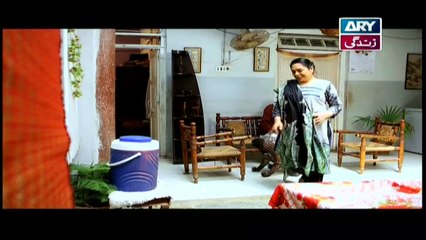 Bubbly Kya Chahti Hai Episode 113 & 114 - on ARY Zindagi in High Quality 24th January 2019