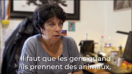 Adopter un animal à la SPA