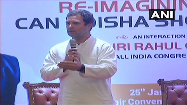 राहुल गांधी बोले: प्रियंका की राजनीति में एंट्री पर लंबे समय से चर्चा हो रही थी